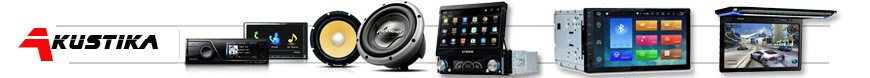 Pioneer autostereod